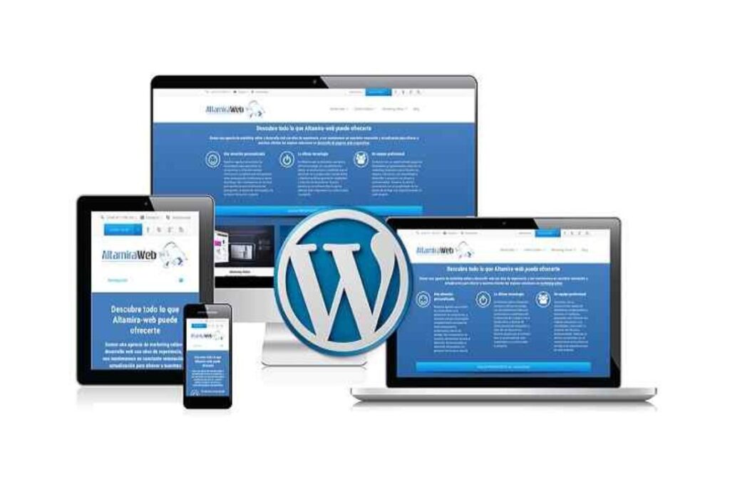 wordpress website